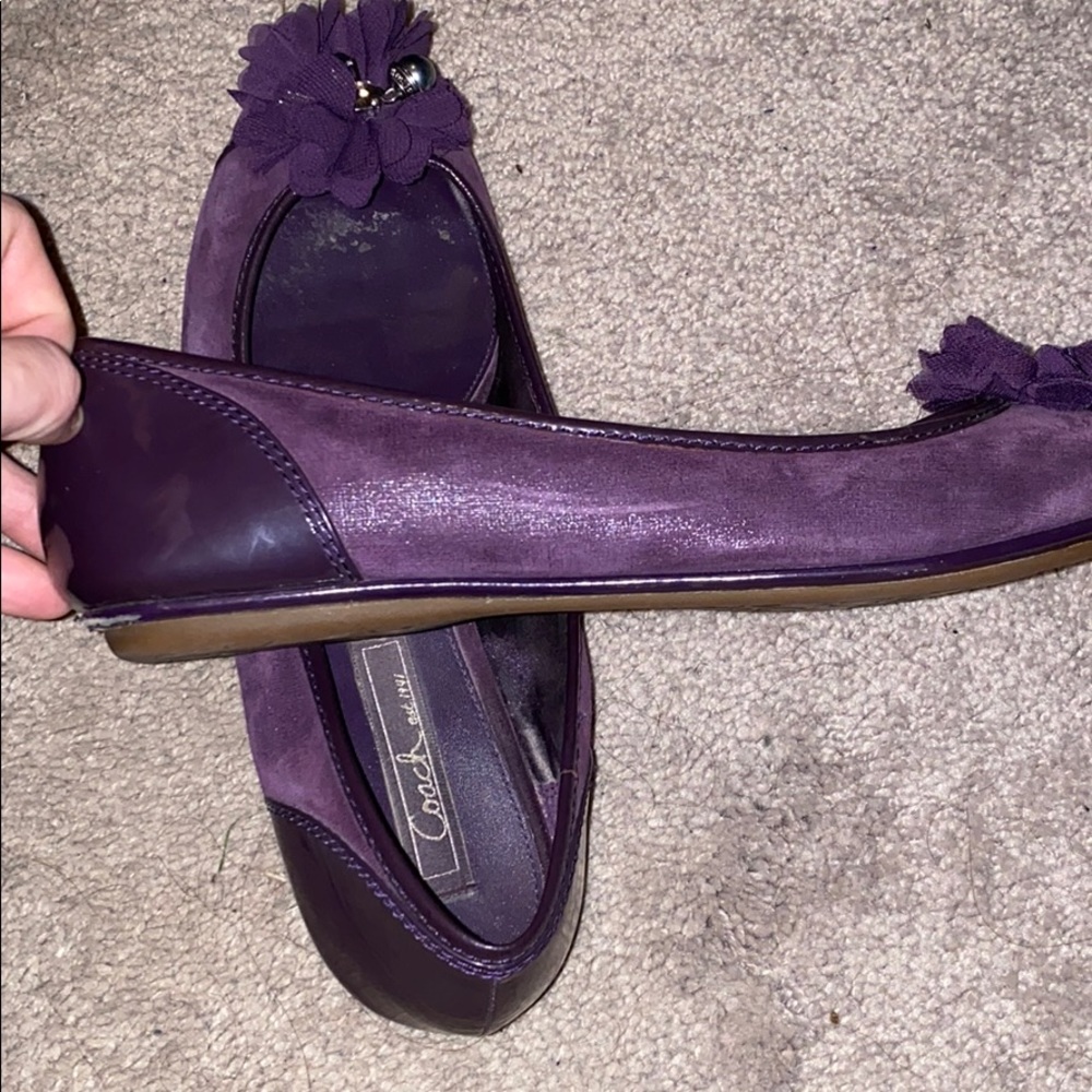 Coach flats - Picture 6 of 8
